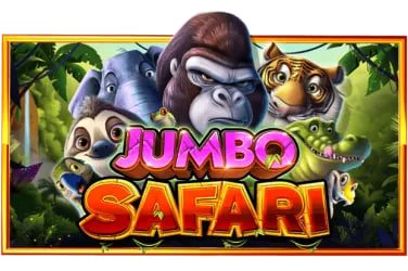 onbet com